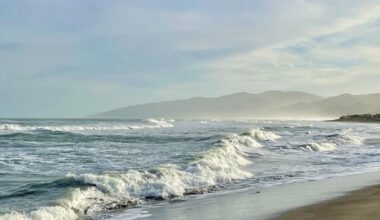Budget 2026 a missed opportunity for nature