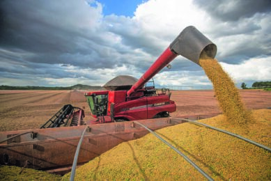 Brazil set for grain harvest record amid modest growth