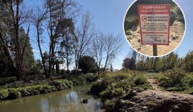 Fatberg triggers sewage leak in Rotorua, forcing closure of popular water hole