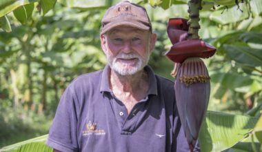 Soil fertility expert Brett Petersen trials banana varieties near Edgecumbe
