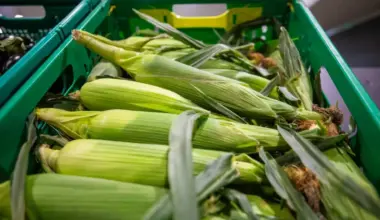 Government invests $50,000 for Hawke’s Bay grower group’s McCain factory takeover bid
