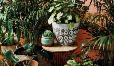 Can houseplants really purify the air in your home?