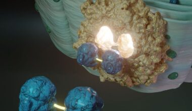 The ER With Disulfide Linked GSSG in the Lumen