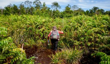 Singapore launches coalition to boost demand for high-integrity carbon credits | News | Eco-Business