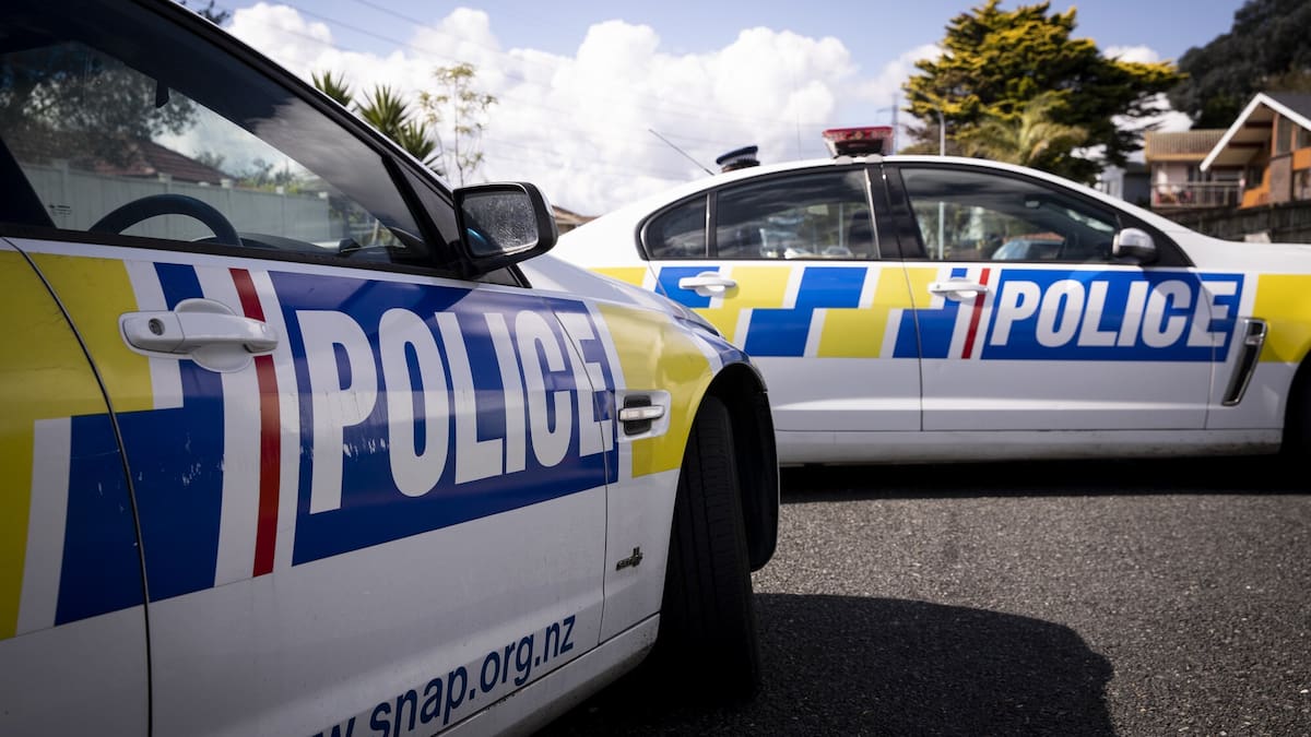 Havelock North crash: Pedestrian seriously injured on Havelock Rd