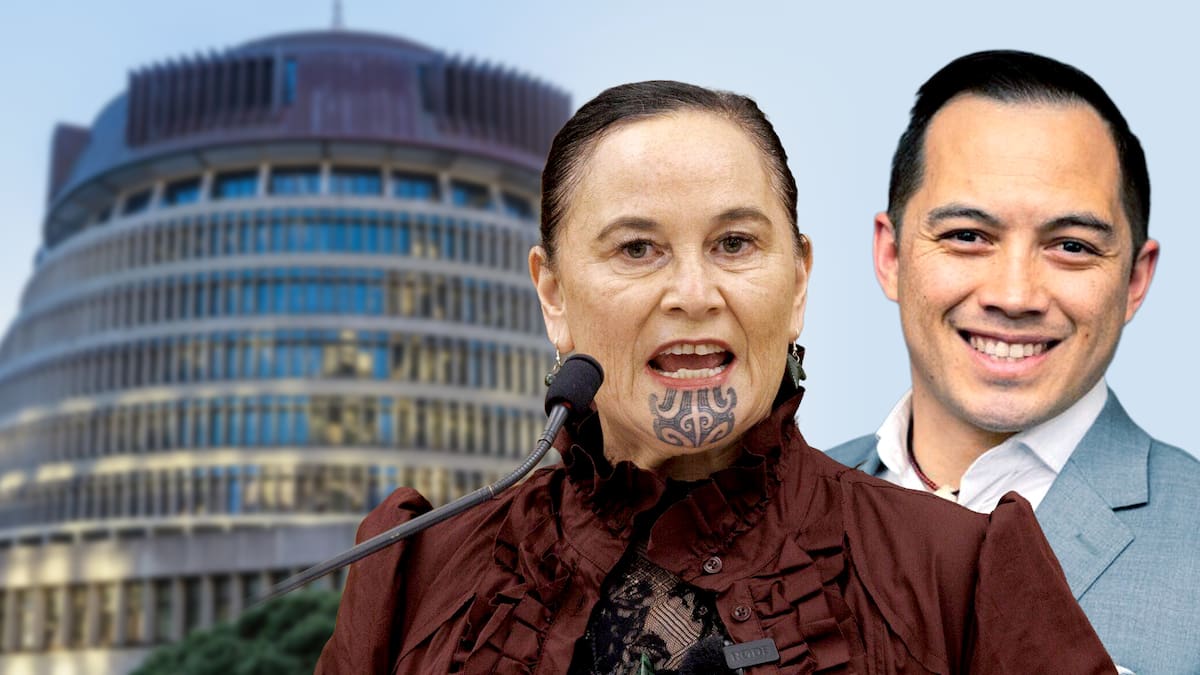 Election 2026: Labour draws battle lines in ‘all out’ fight for Māori seats