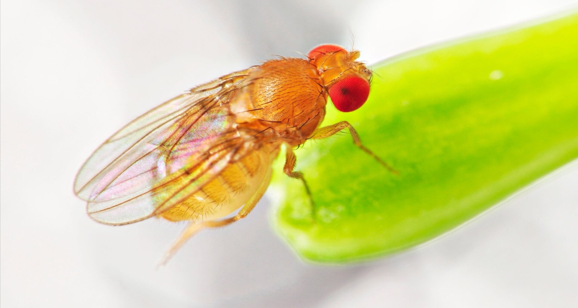 Extreme gravity leaves lasting marks on movement and energy use