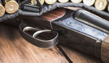 David Sandford used firearms licence to buy guns for dad, who gave them to gang associate