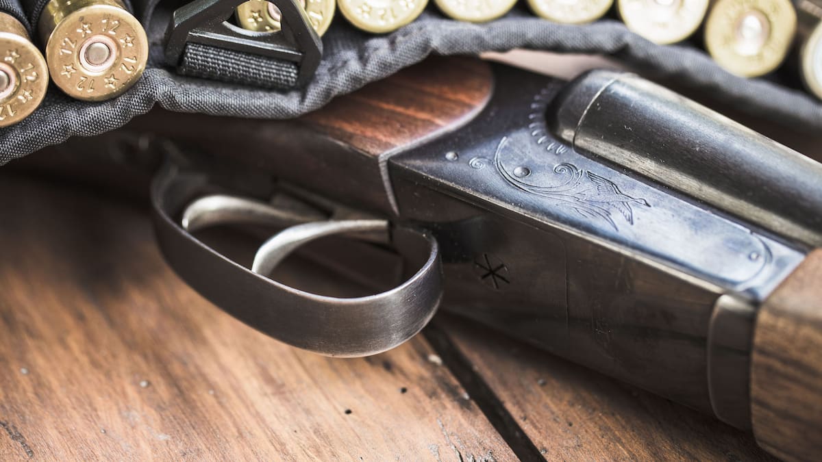 David Sandford used firearms licence to buy guns for dad, who gave them to gang associate