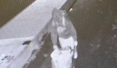 Thief takes wheelbarrow full of food and tools from Thames charity