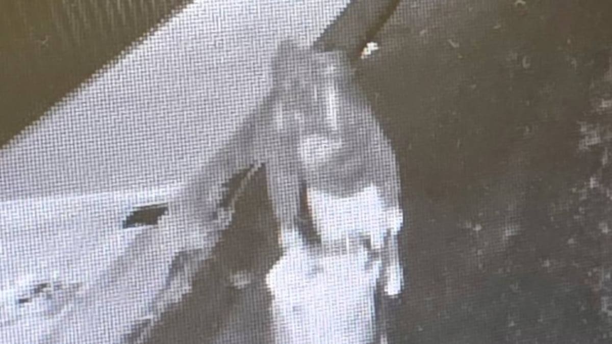 Thief takes wheelbarrow full of food and tools from Thames charity