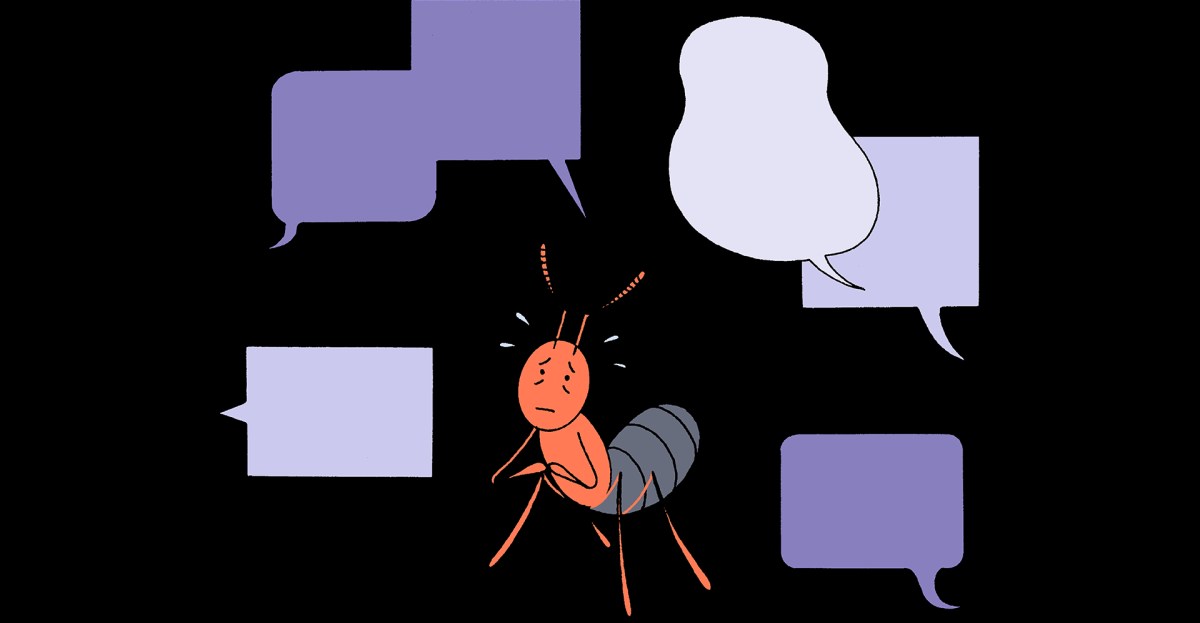 Can insects feel pain? Can AI chatbots?