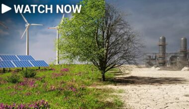 ETS needs fixing to help cut greenhouse gas emissions