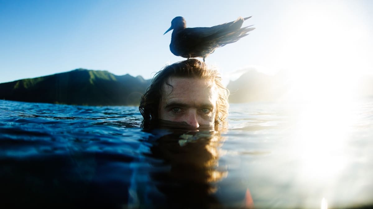 World Surf League Raglan: Photographer Ed Sloane recalls sea creature attack, message from Mick Fanning