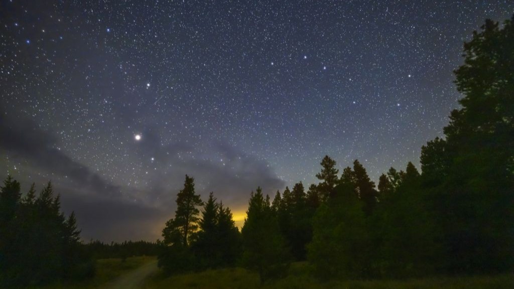 Bright star shining in the night sky with trees silhouetted below.