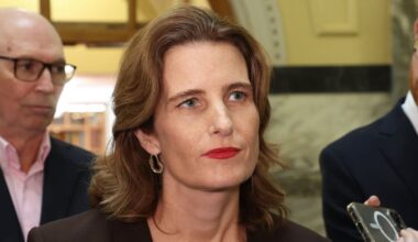 Are we a tax haven now ? Why Australia suddenly cares about our capital gains rules – Liam Dann