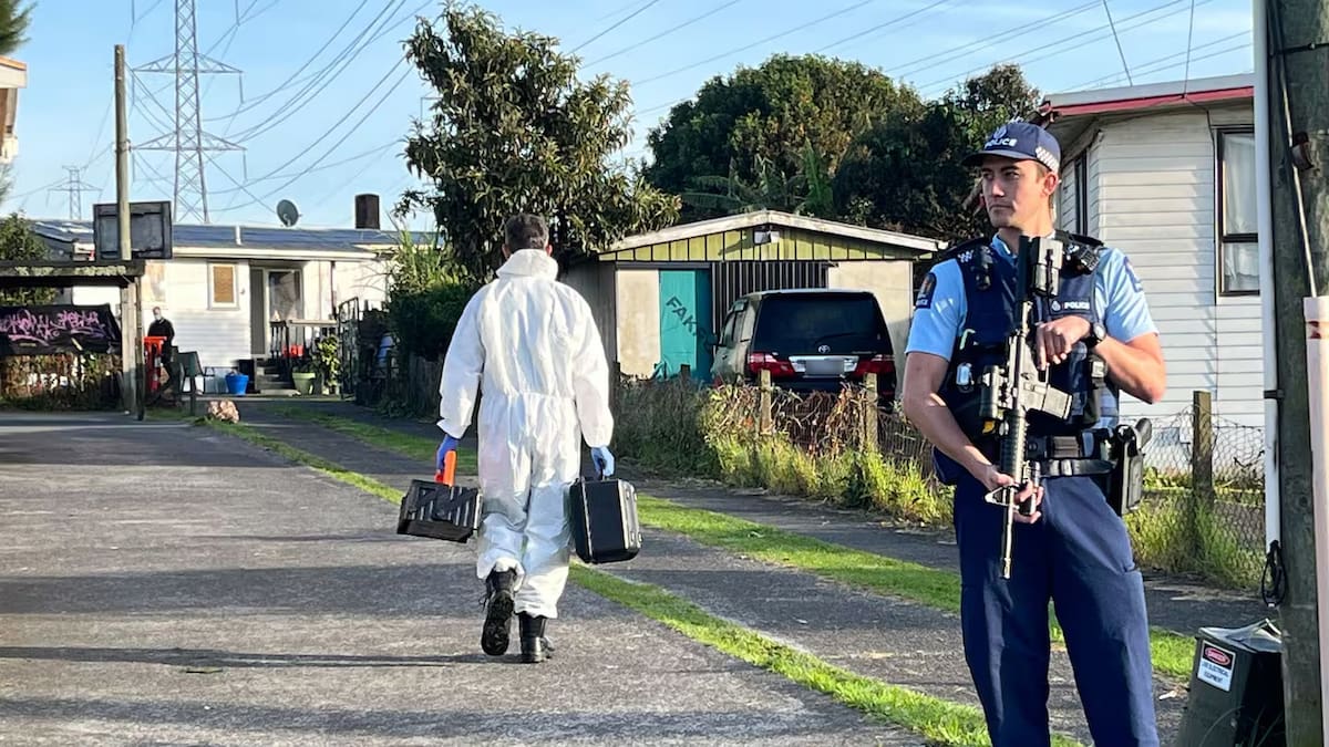 Mt Wellington police incident: Armed police guard home after person suffers serious injury
