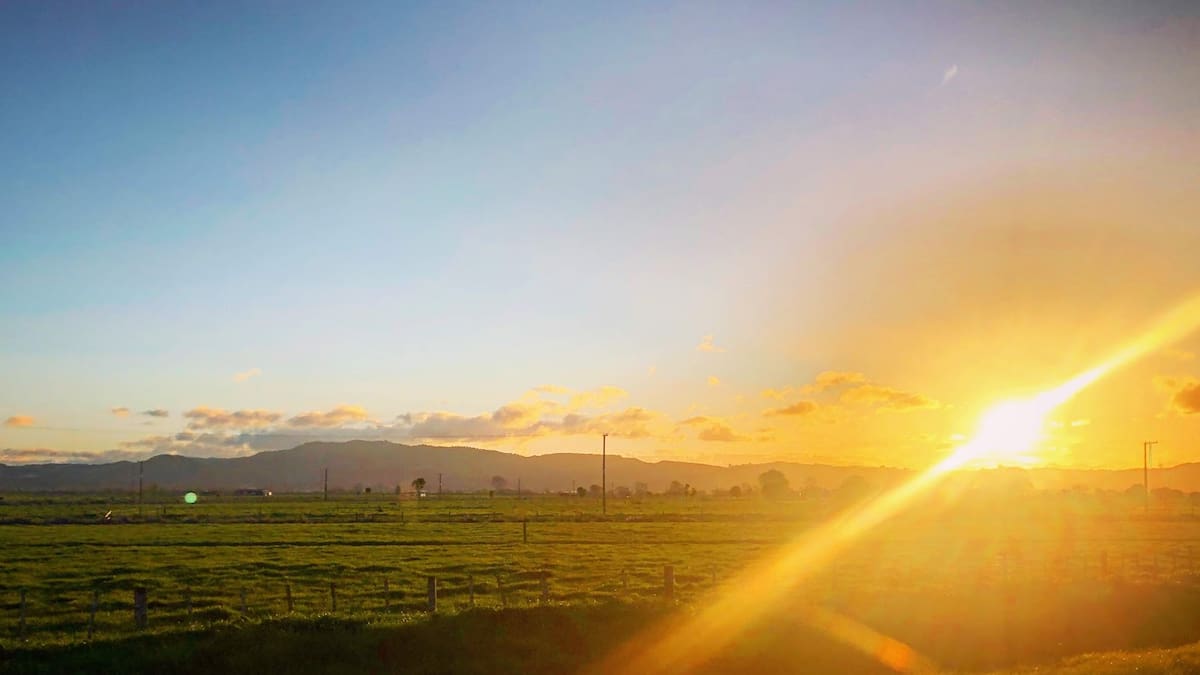 NZ farmers report high life satisfaction in 2025 rural survey