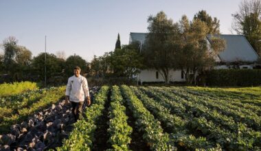 Havelock North restaurant going unplugged for candlelit World Environment Day