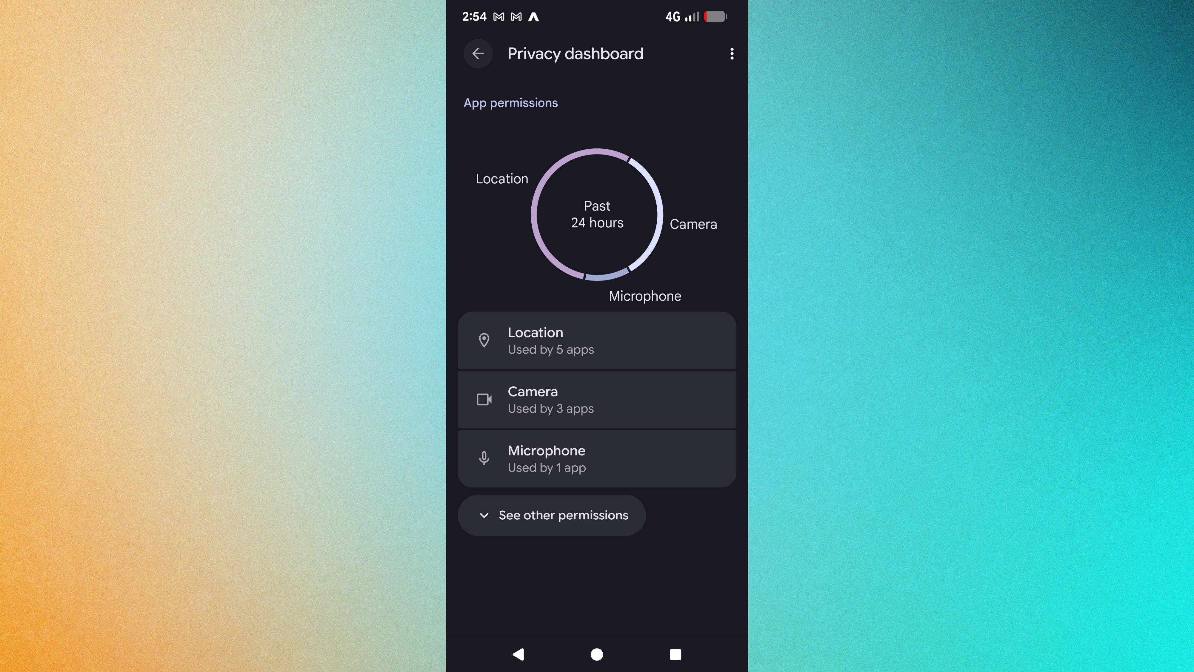Privacy Dashboard open in Google Pixel