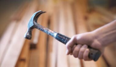 Rotorua hammer attack: Woman who ‘popped’ victim’s eye loses sentence appeal