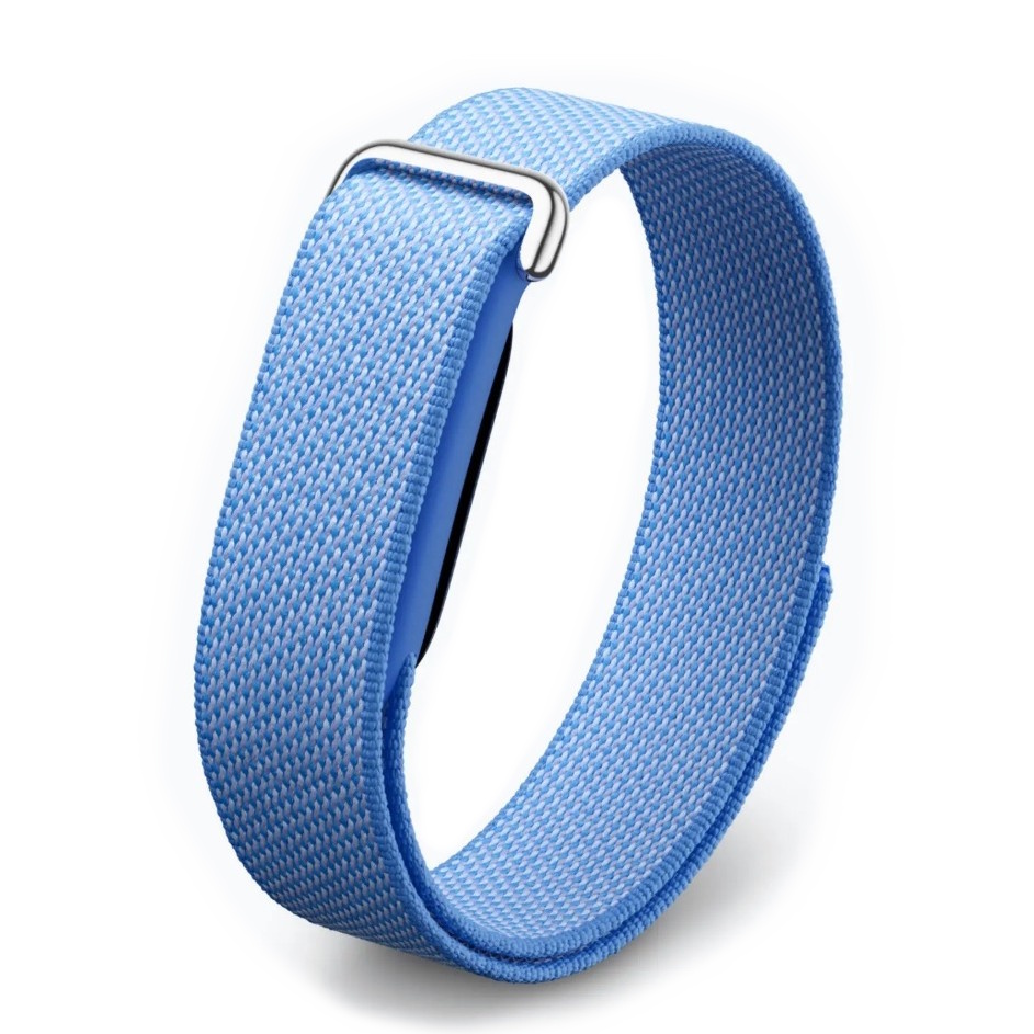 Google Fitbit Air Performance Loop Band