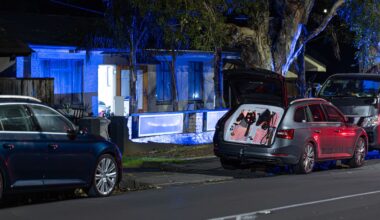 Mt Wellington shooting: Person arrested as armed police prepare to raid house