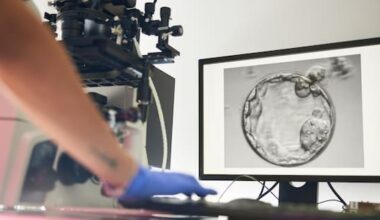 IVF clinic embryo mix-up in Victoria leads to trauma lawsuit