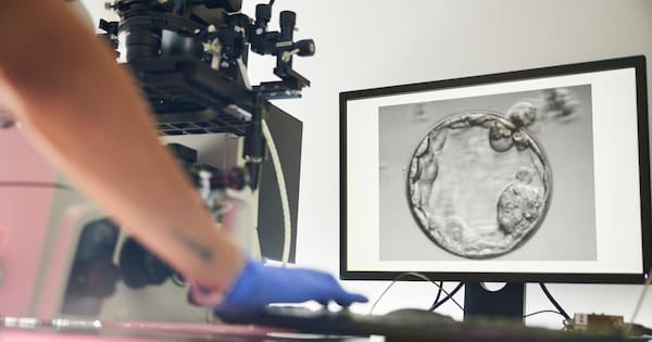IVF clinic embryo mix-up in Victoria leads to trauma lawsuit