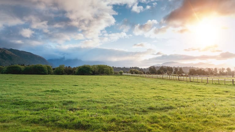 A generic farm in New Zealand.