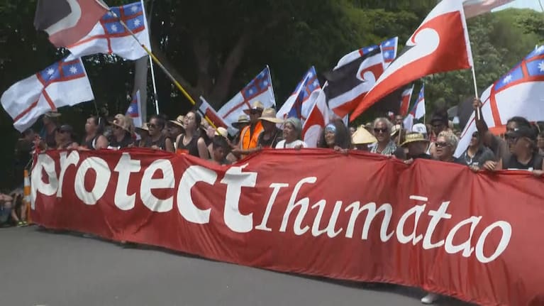 A long-running protest and occupation at Ihumātao was sparked by the site's sale to Fletchers in 2016.