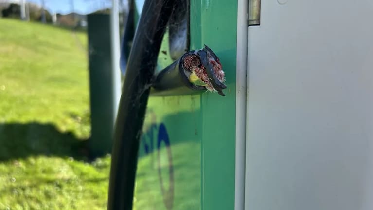 A Lower Hutt resident found the cables broken.