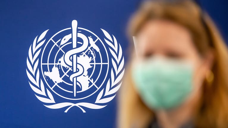 The WHO Director said 82 cases had been confirmed.
