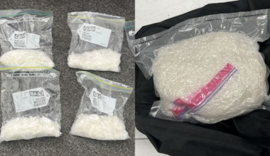 Senior King Cobra member among six arrested in Christchurch drugs bust