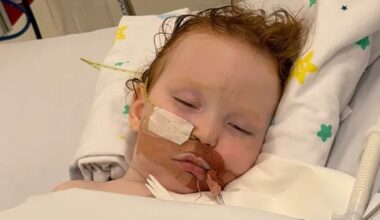 Gold Coast toddler in coma after inhaling cake-decorating dust