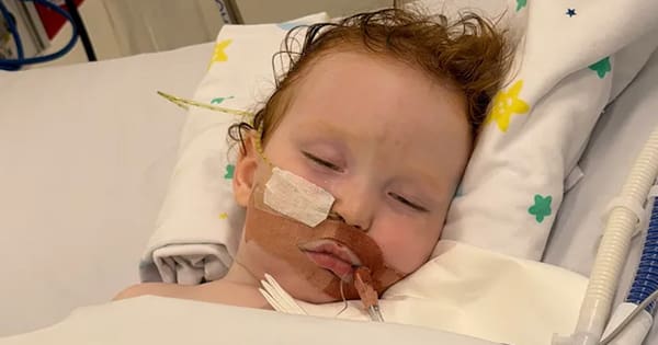 Gold Coast toddler in coma after inhaling cake-decorating dust