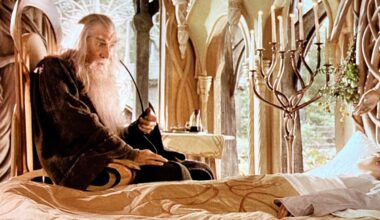 Gandalf Fellowship line fans 25 years