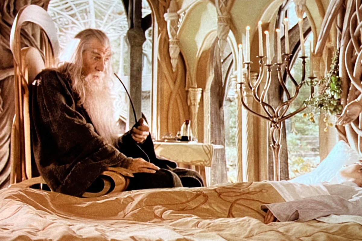 Gandalf Fellowship line fans 25 years