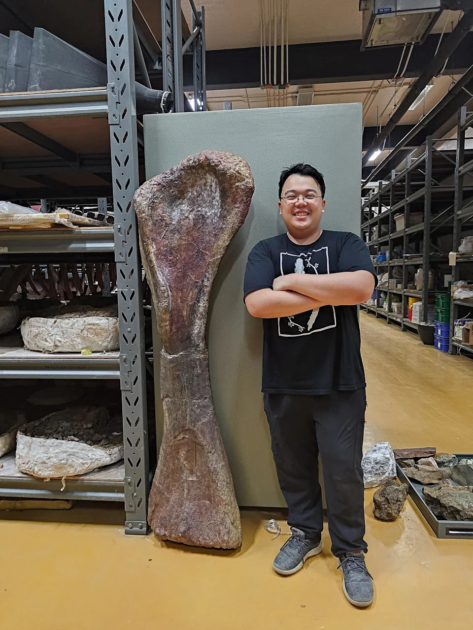 Researcher Thitiwoot Sethapanichsakul poses with a front leg bone of the Nagatitan at the Sirindhorn Museum in Thailand in a photograph released May 14, 2026. / Credit: Thitiwoot Sethapanichsakul/Handout via Reuters