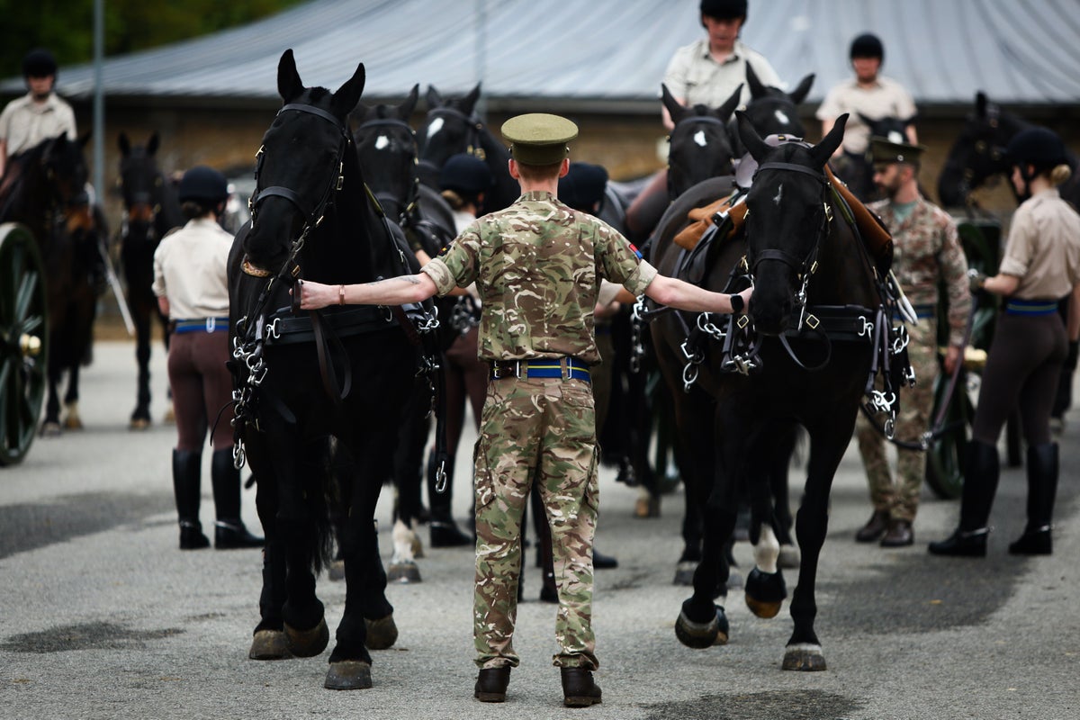 King Charles ‘shocked and saddened’ by death of soldier at Royal Windsor Horse Show