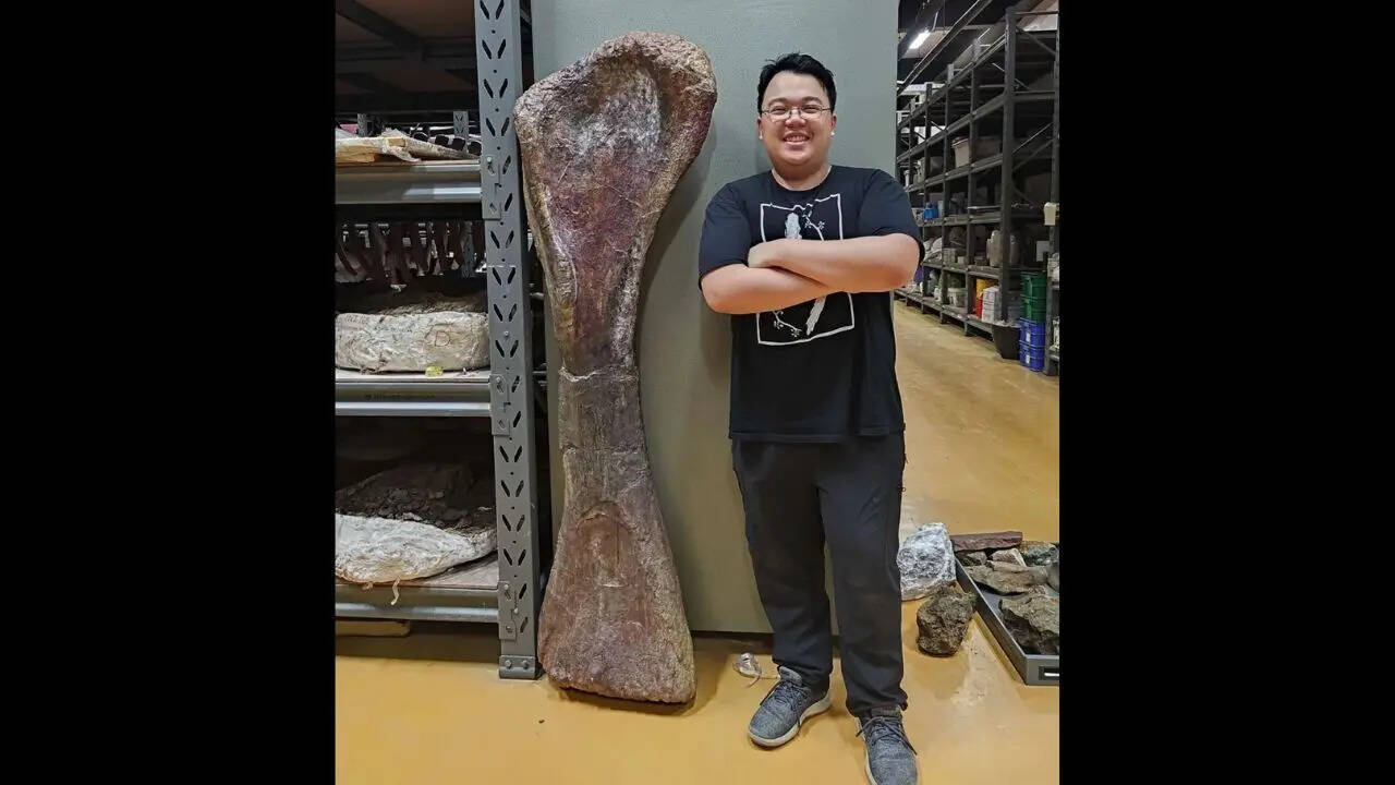 According to Thitiwoot Sethapanichsakul, the researchers referred to the Nagatitan as "the last titan" of Thailand According to Thitiwoot Sethapanichsakul, the researchers referred to the Nagatitan as "the last titan" of Thailand