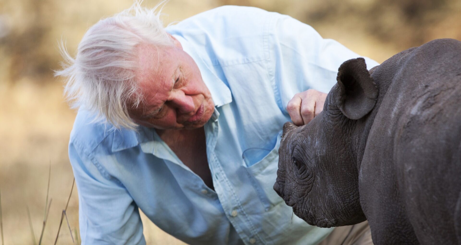 Sir David Attenborough’s 10 Most Memorable Wildlife Encounters