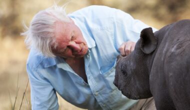 Sir David Attenborough’s 10 Most Memorable Wildlife Encounters