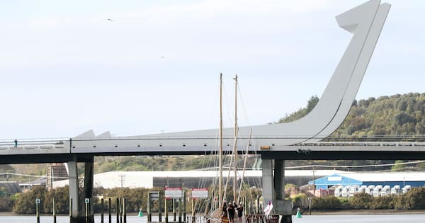 Famous Whangārei bridge closed after cracks found in giant 'fishhooks'