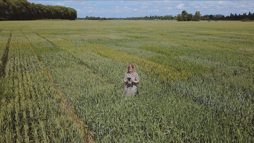 almudena romero cultivates photography through living crops and ecological processes - 4