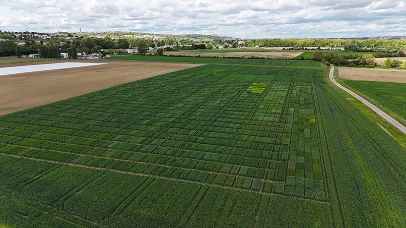 color research. INRAE Fields. test palette. april 2024