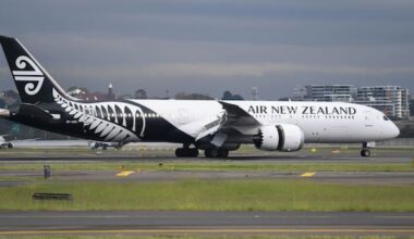 Air NZ flight cancelled after bird gets loose in cockpit