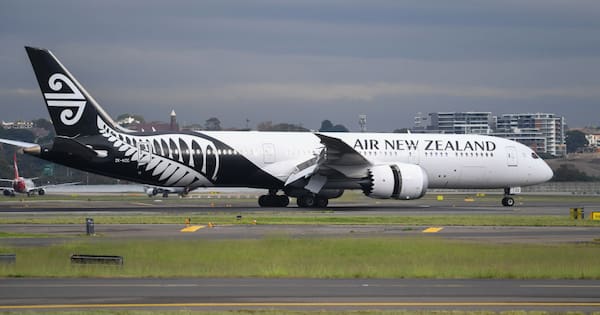 Air NZ flight cancelled after bird gets loose in cockpit