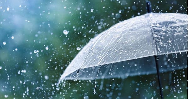 King's Birthday weekend weather: Rain, wind and a surprise warm-up