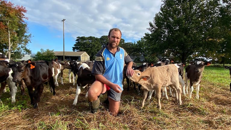 Whangārei ratepayer Andrew Booth with some of the new calves on his predominantly Autumn-calving Mangakahia farm.